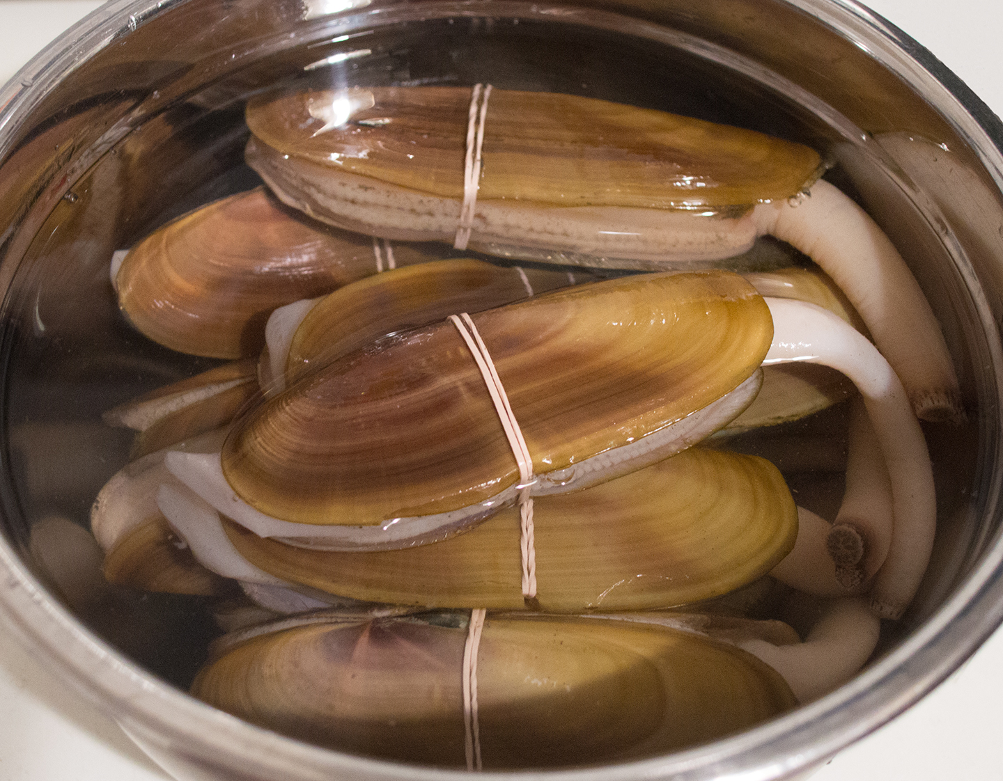 Razor Clams