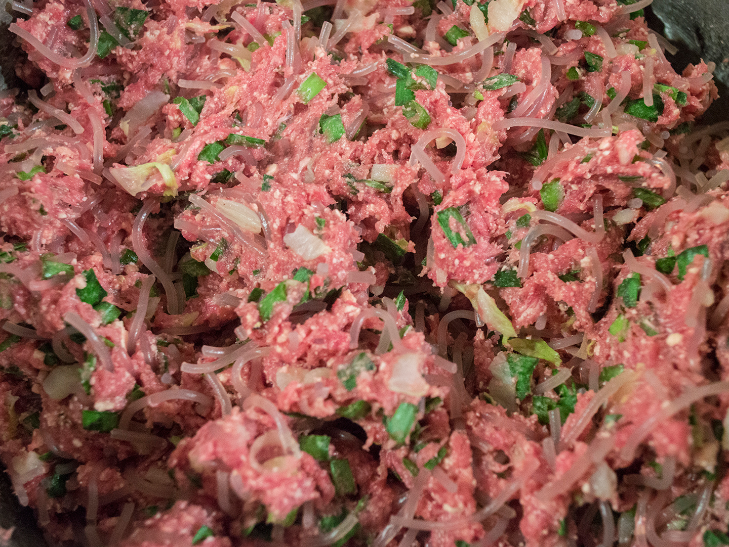 Mandu Filling - Mixed with Beef