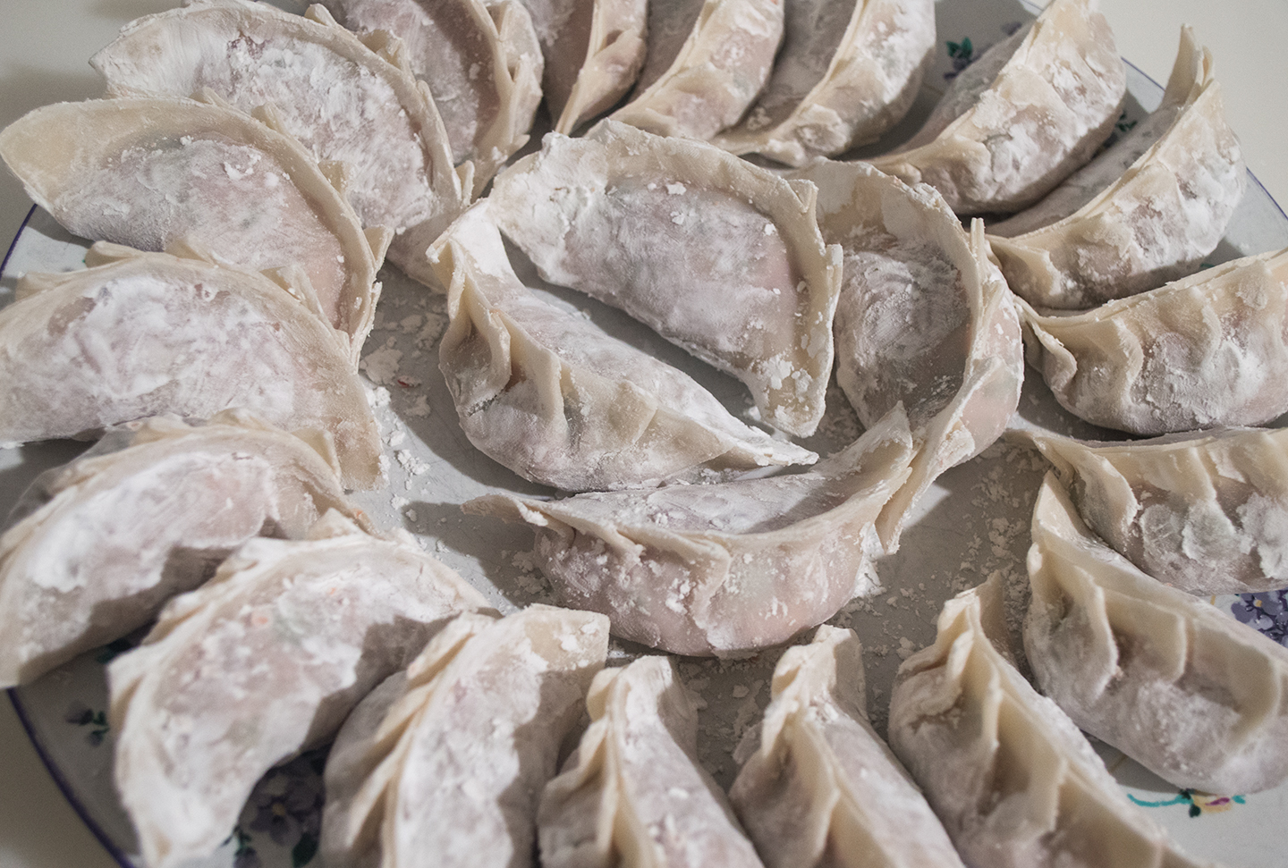 Mandu Ready for the Freezer