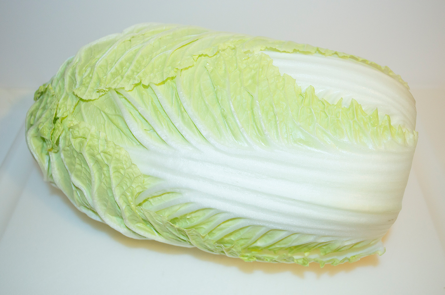 Napa Cabbage