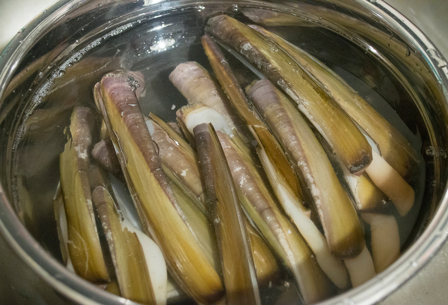 Jack Knife Razor Clams