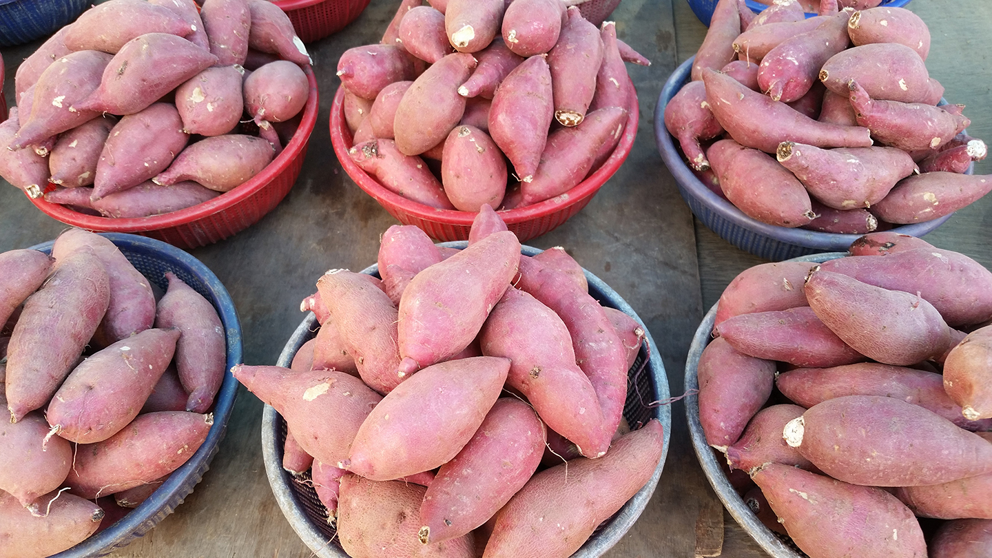 Korea Trip - Sweet Potato