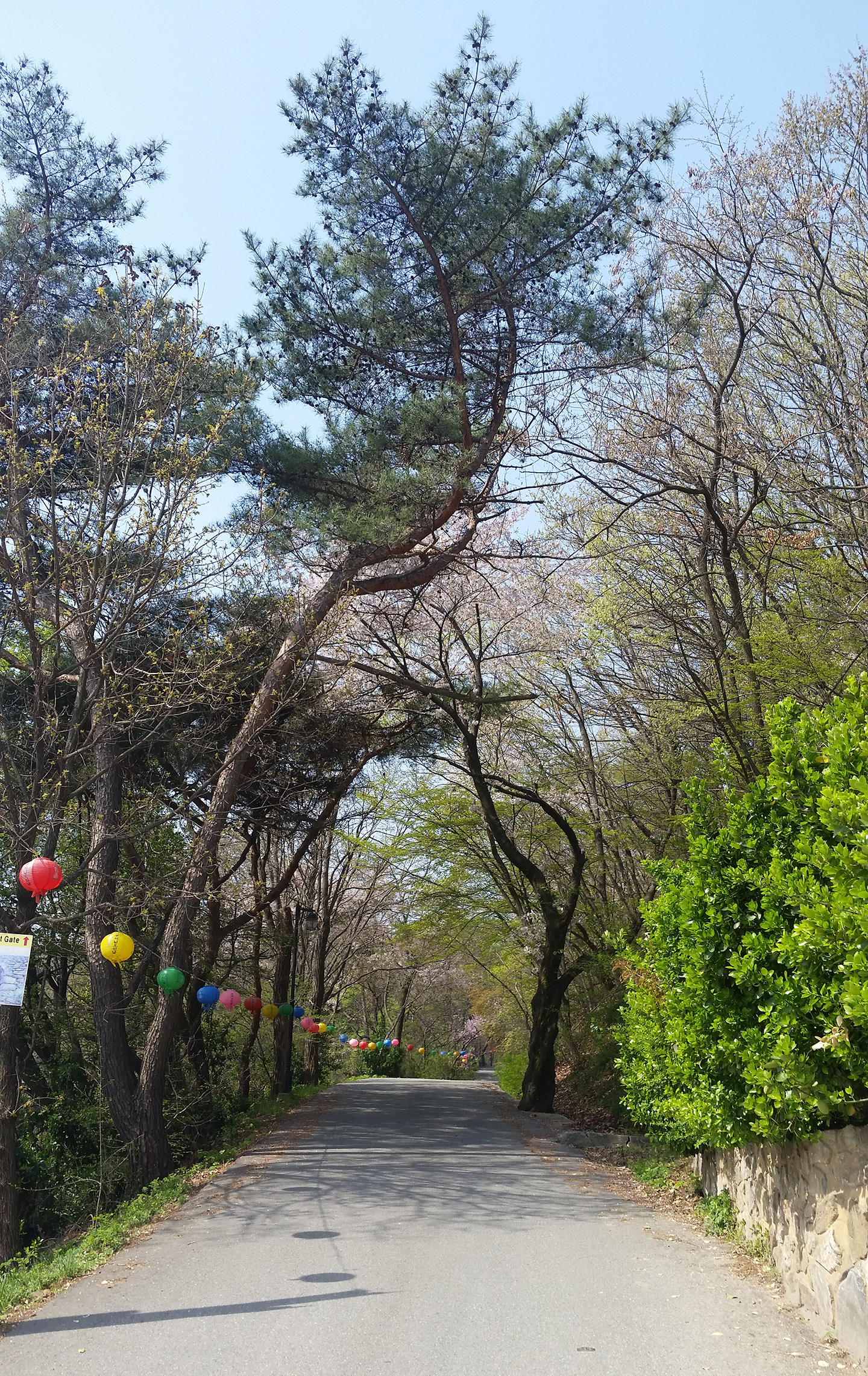 Korea Trip - Jeondeungsa East Entrance Path