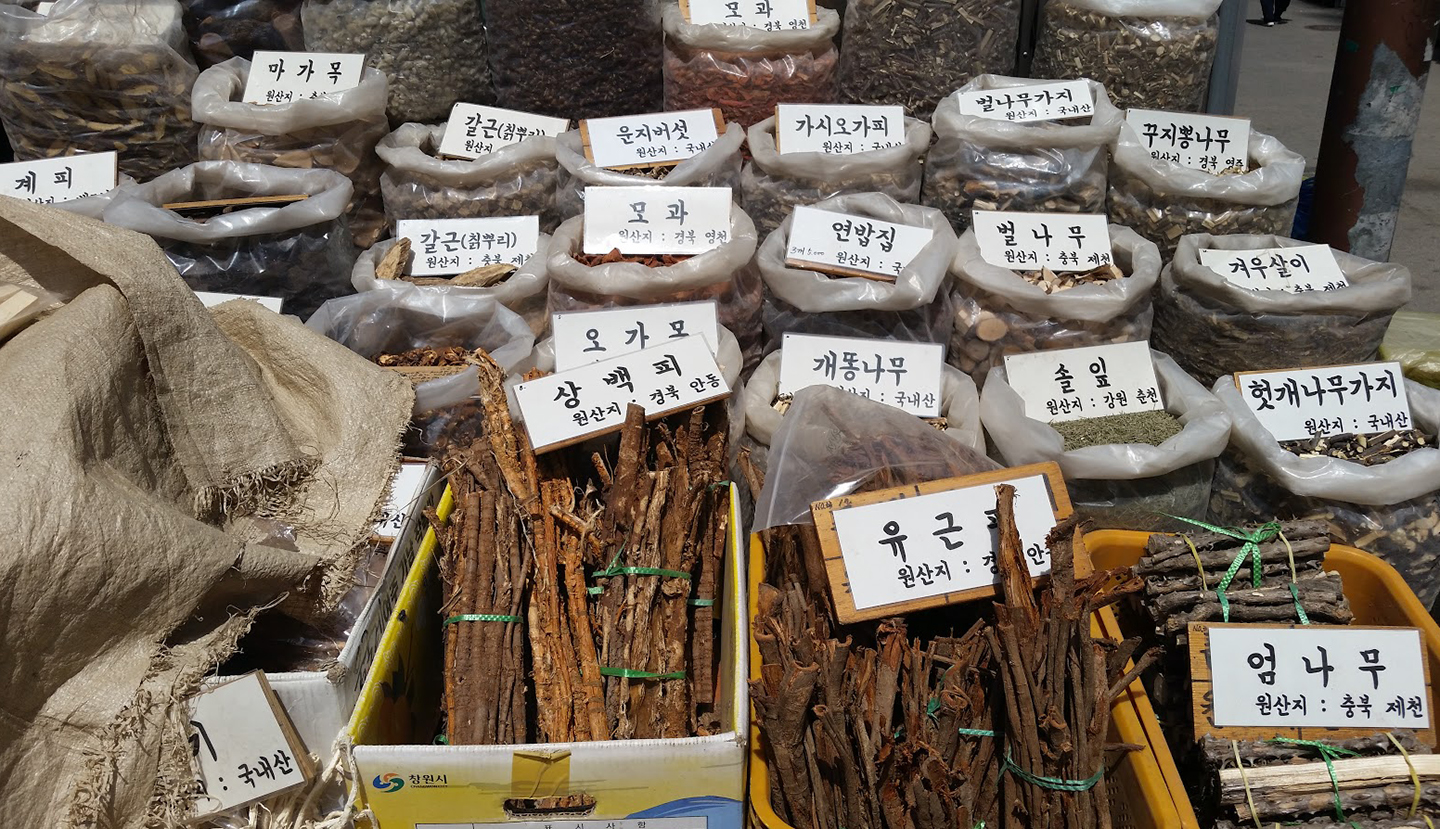 Korea Trip - Gyeongdong Shijang Medicine Store 3