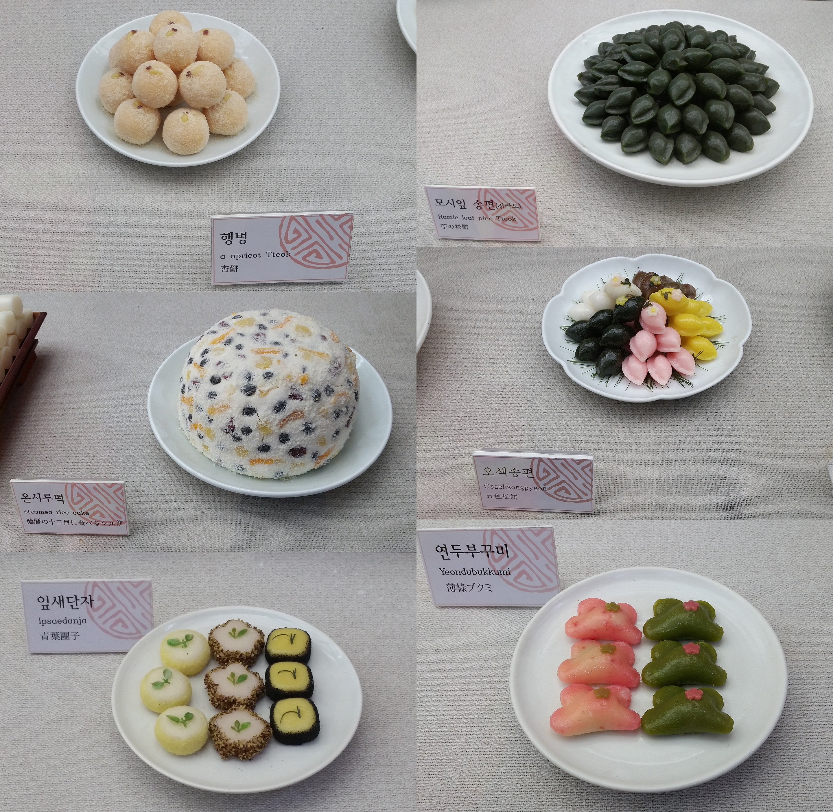 Tteok Museum - Closeup of a Few Rice Cakes