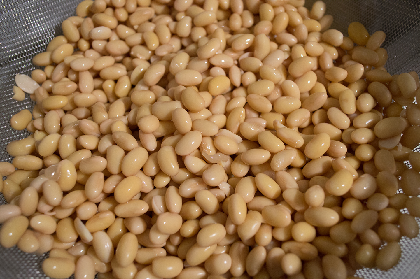 Soy Milk and Soy Pulp - Cooked Soybeans