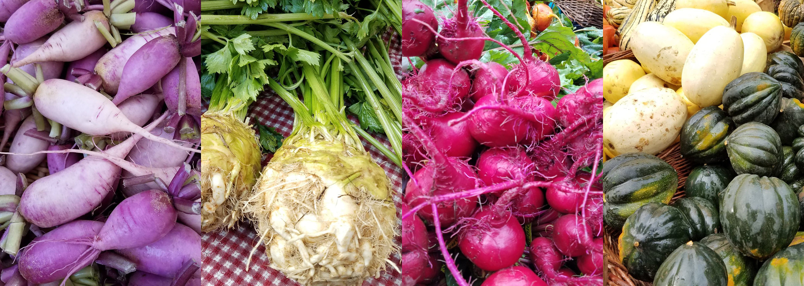 Thanksgiving Trip to Portland - PDX Farmer's Market Collage