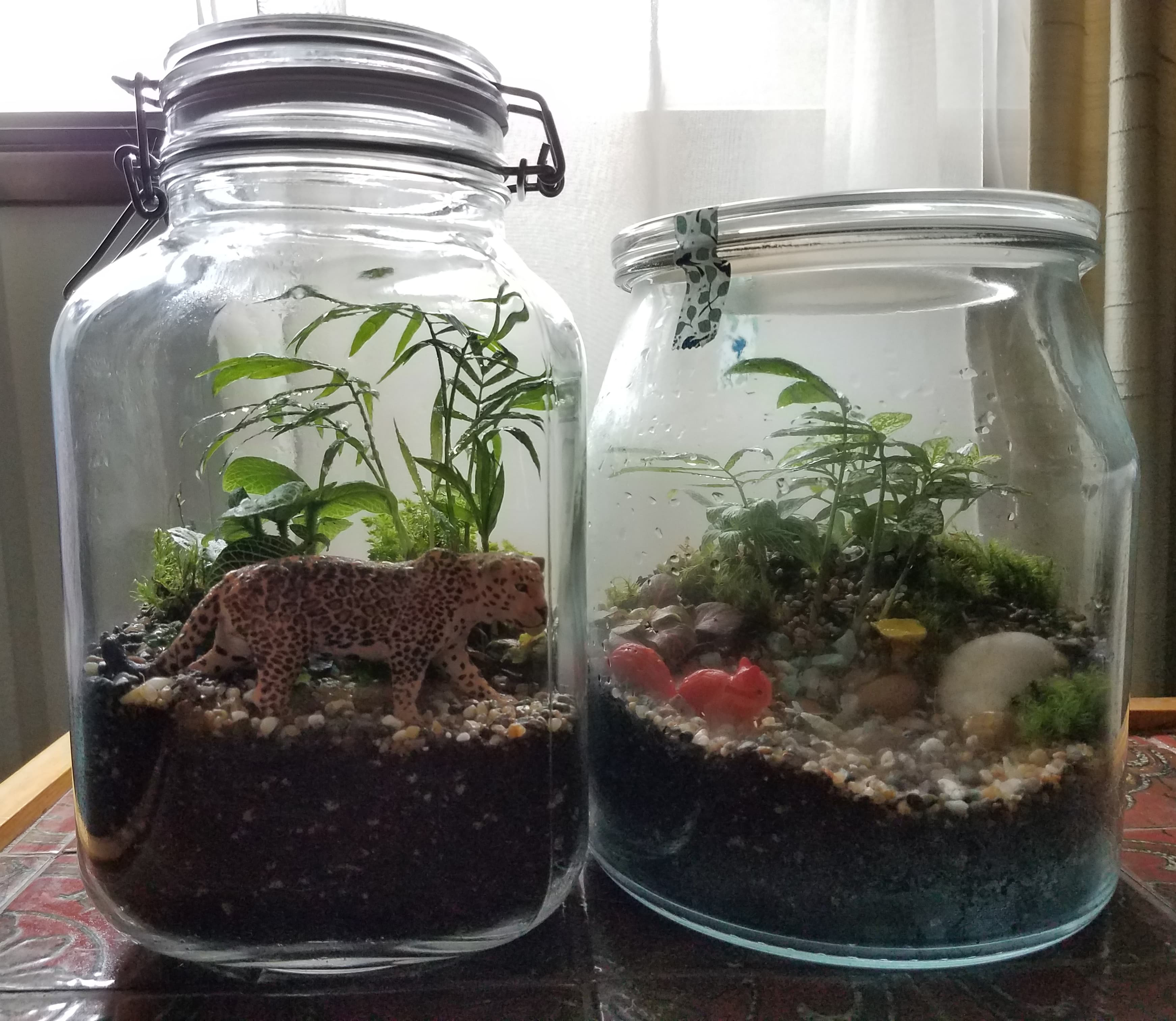 Roosevelt's Terrariums