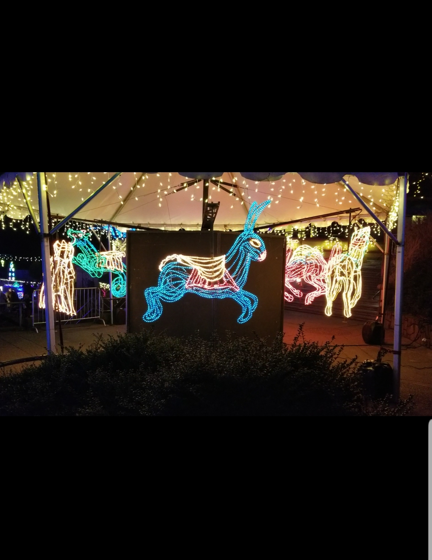 Thanksgiving Visit to Portland - Zoo Lights Carousel