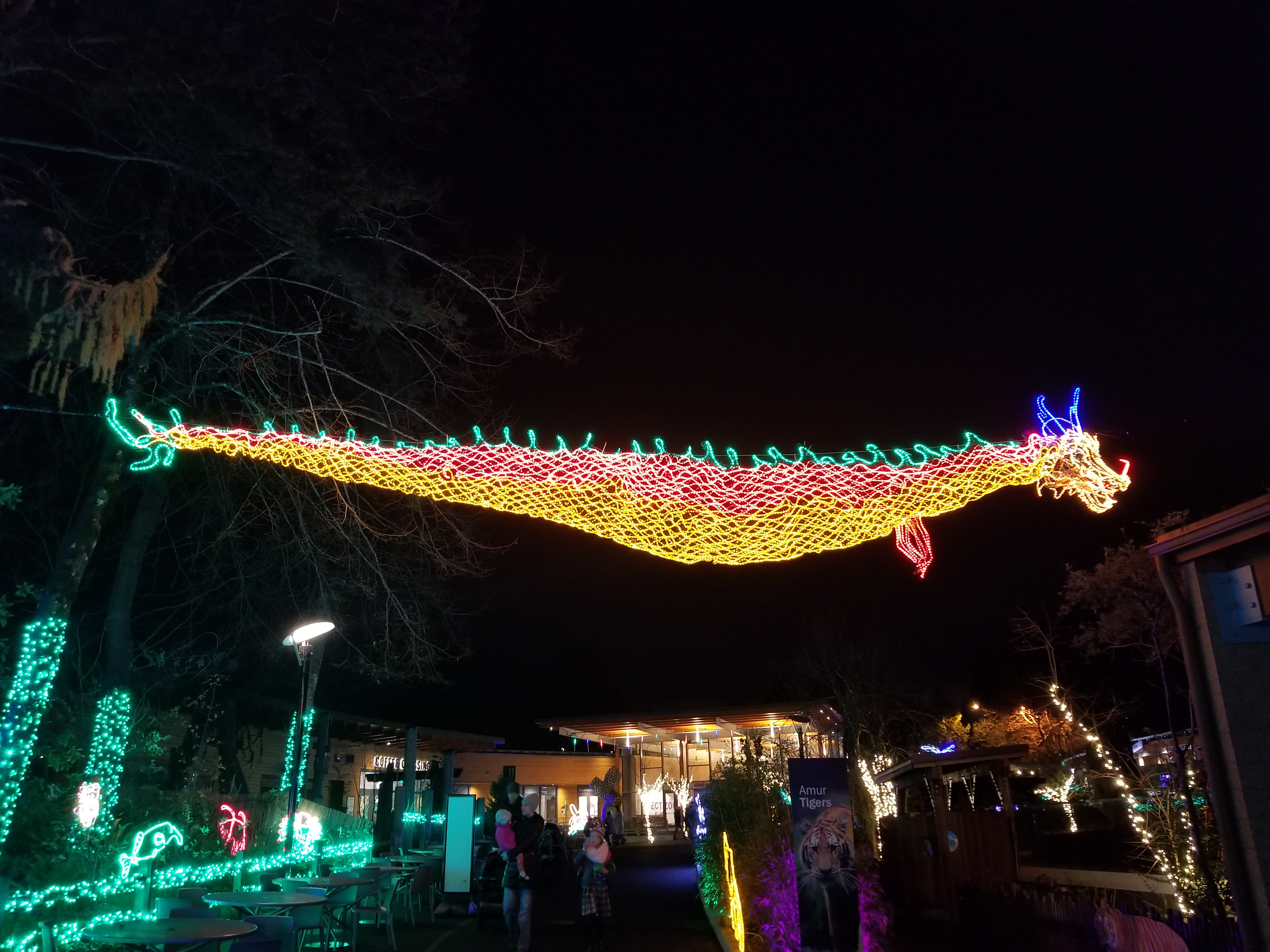 Thanksgiving Visit to Portland - Zoo Lights Dragon