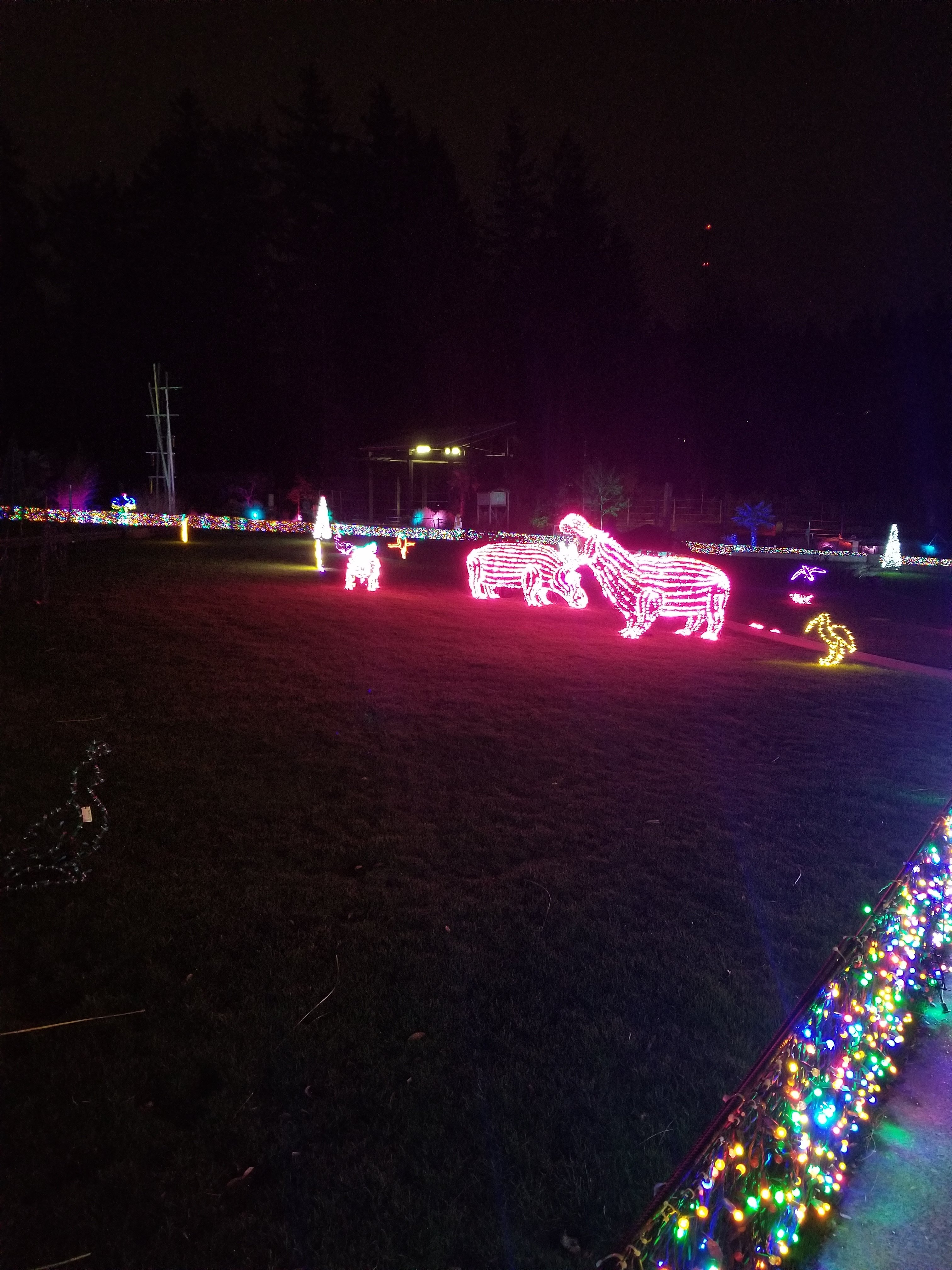 Thanksgiving Visit to Portland - Zoo Lights Concert Lawn