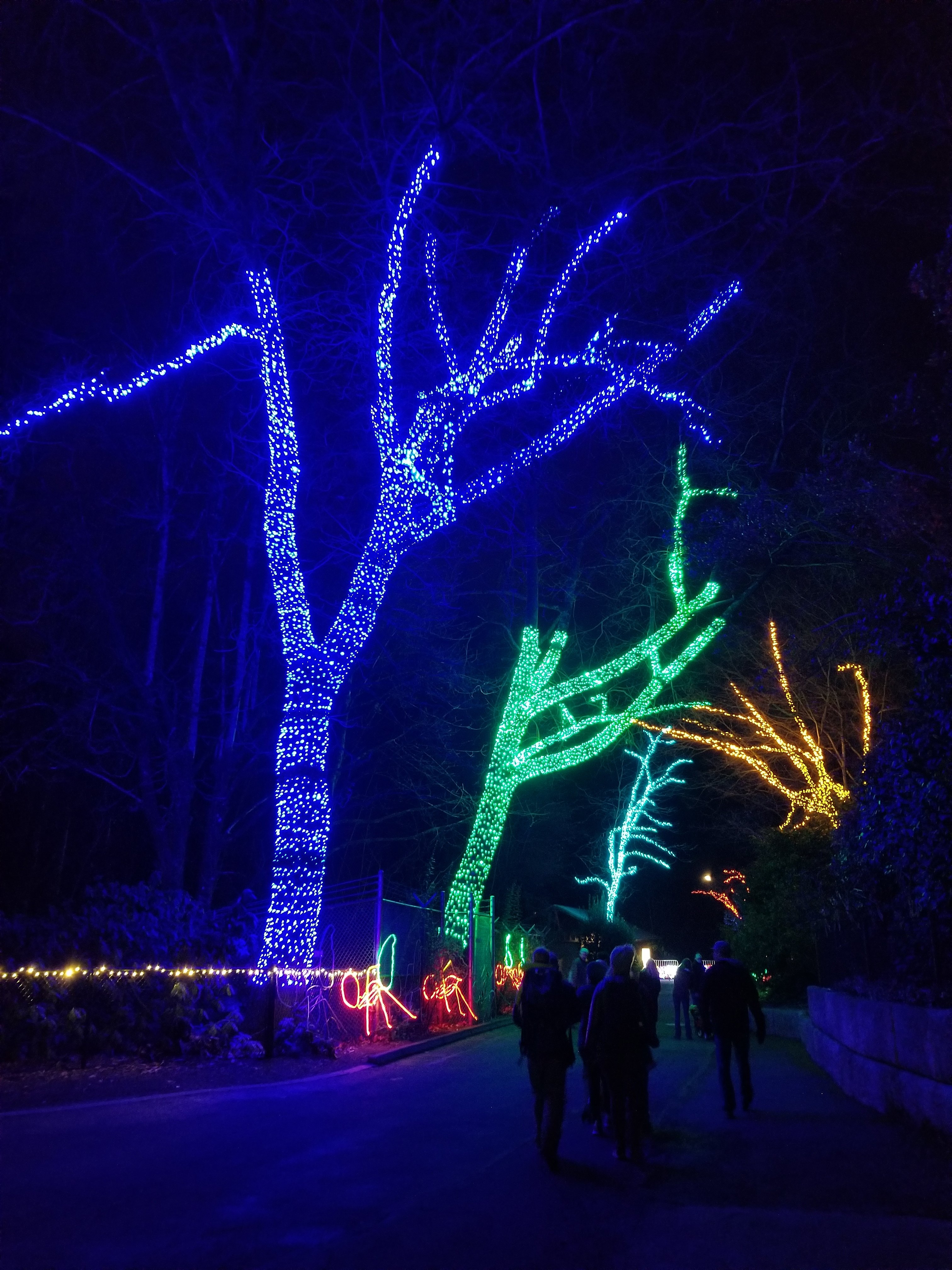 Thanksgiving Visit to Portland - Zoo Lights Trees