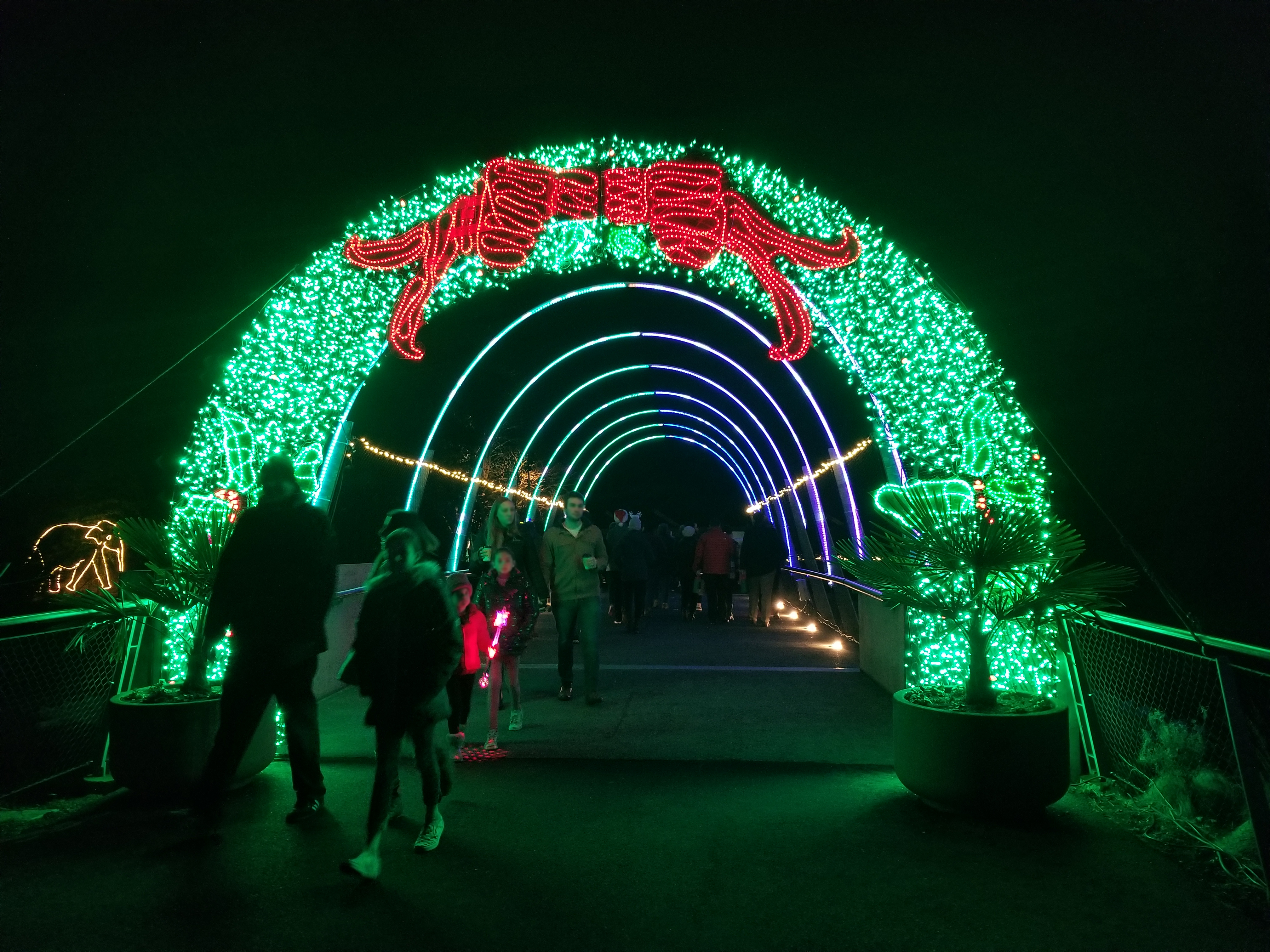 Thanksgiving Visit to Portland - Zoo Lights Elephant Wreath Arch